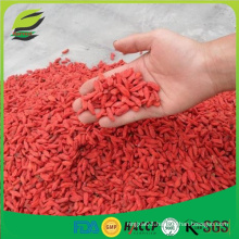 Dry goji berries for sale